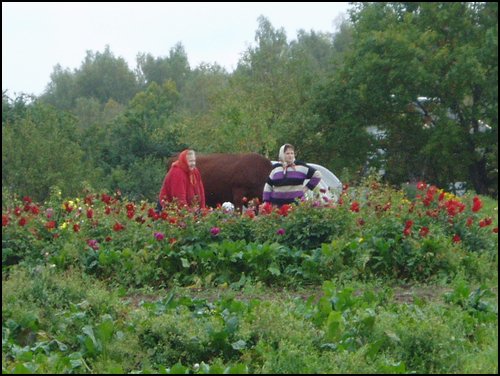 Lettland oktober 2005 081.jpg